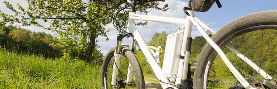 Fahrrad in weiß auf Wiese